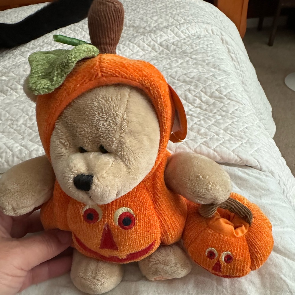 Rare 2008 Starbucks Barista Halloween Bear